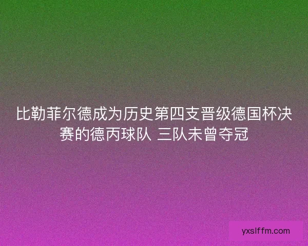 比勒菲尔德成为历史第四支晋级德国杯决赛的德丙球队 三队未曾夺冠
