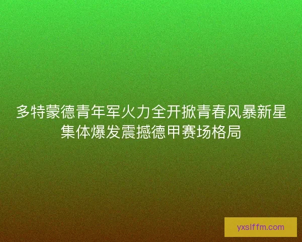 多特蒙德青年军火力全开掀青春风暴新星集体爆发震撼德甲赛场格局